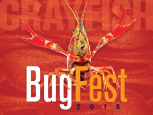 Cover photo for Bugfest Rescheduled for Saturday October 20th