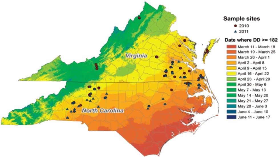 Shows map with delinations across North Carolin and Virginia for peak cereal leaf beetle egg lay